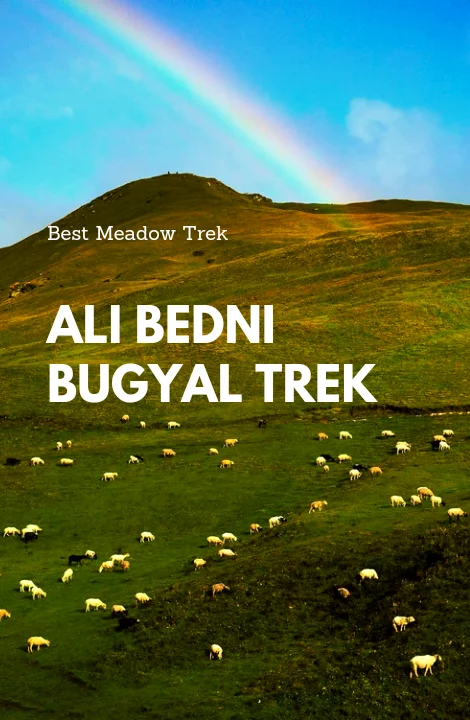 ali-bedni-bugyal-trek-home-page